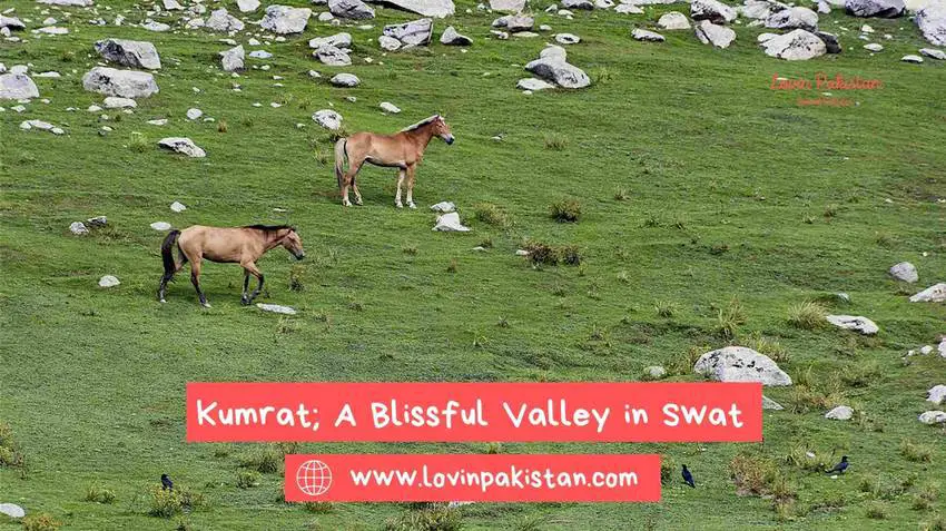 Kumrat Valley Swat