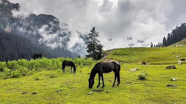 Horseback Riding in Jahaz Banda