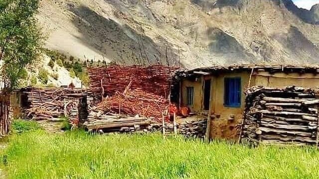 Houses at organic village